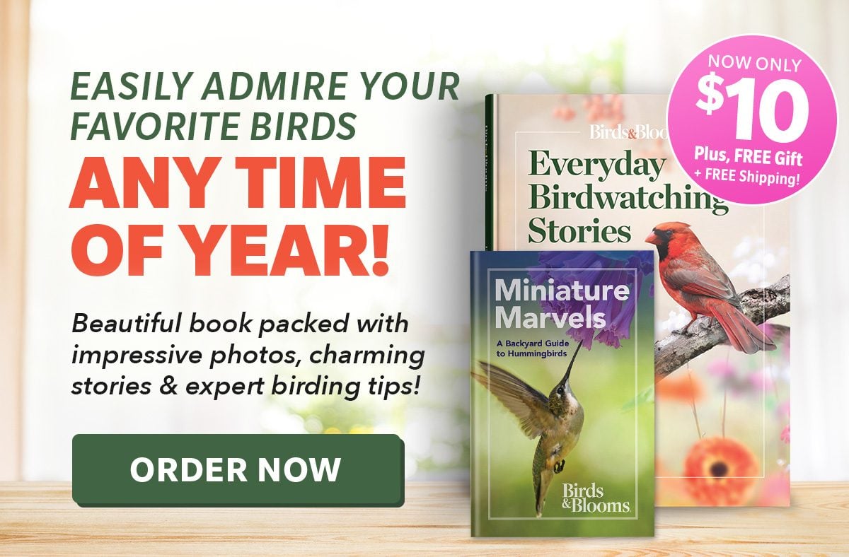 Only $10, Plus FREE Gift + FREE Shipping!