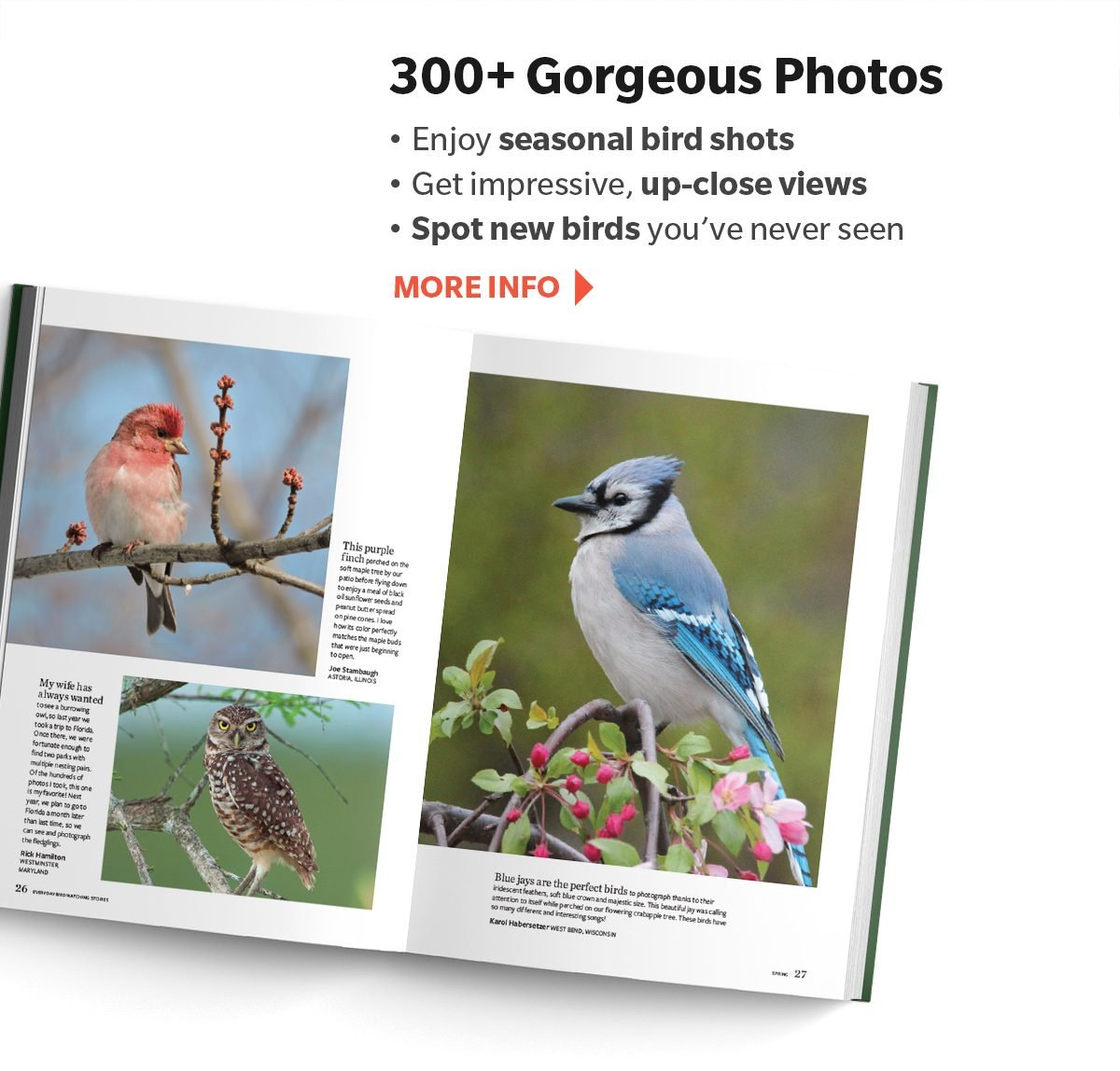 Easily admire your favorite birds any time of year!