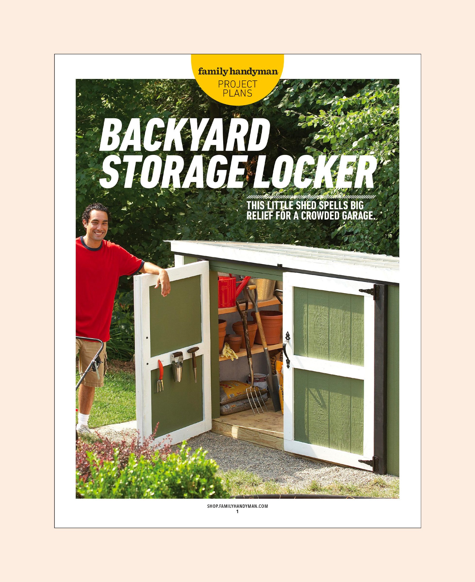 Backyard Storage Locker