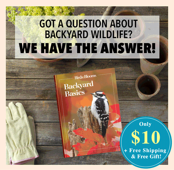 Got A Question About Backyard Wildlife? WE HAVE THE ANSWER!