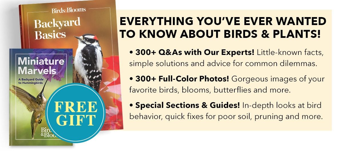 Everything You've Ever Wanted to Know About Birds and Plants!