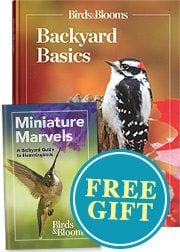 Backyard Basics and Your FREE GIFT!