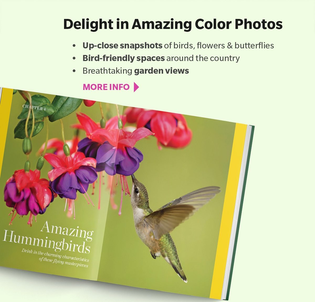 Delight in Amazing Color Photos