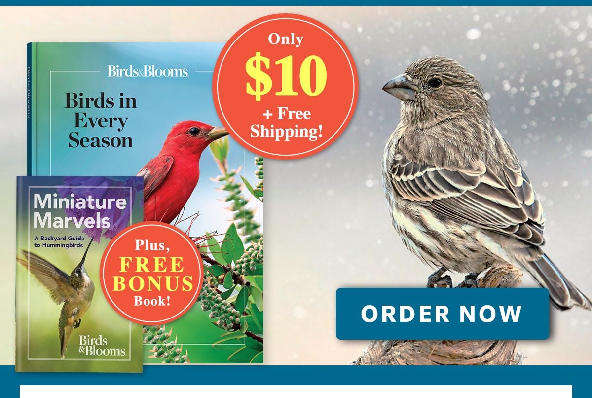 birds in every season ORDER NOW