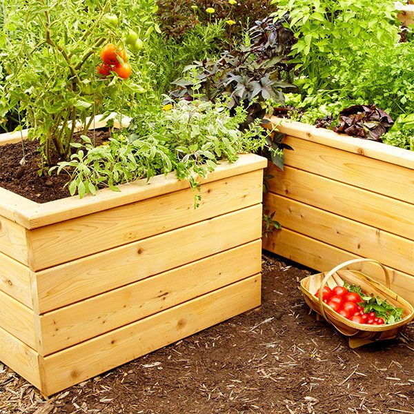 Self-Watering Planter