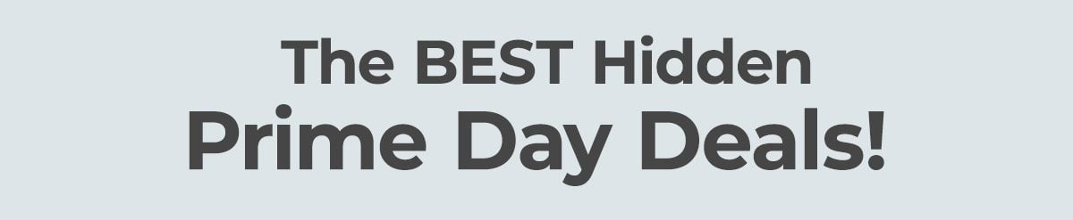 The BEST Hidden Prime Day Deals!