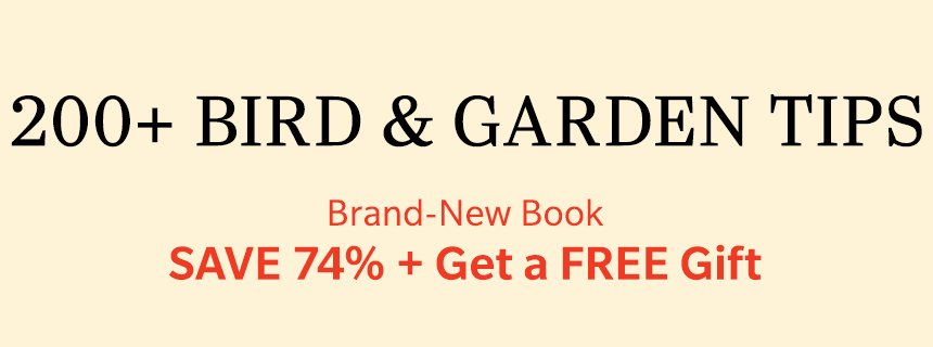 REALLY GOOD OFFER
