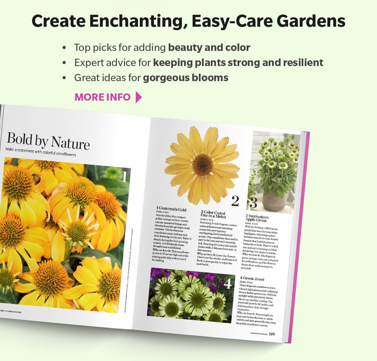 Create Enchanting, Easy-Care Gardens