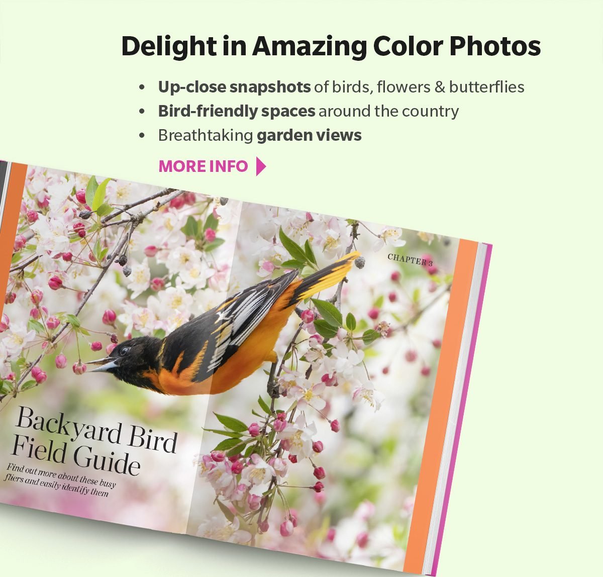 Delight in Amazing Color Photos