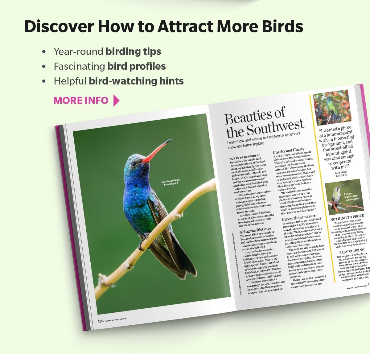 Discover How to Attract More Birds