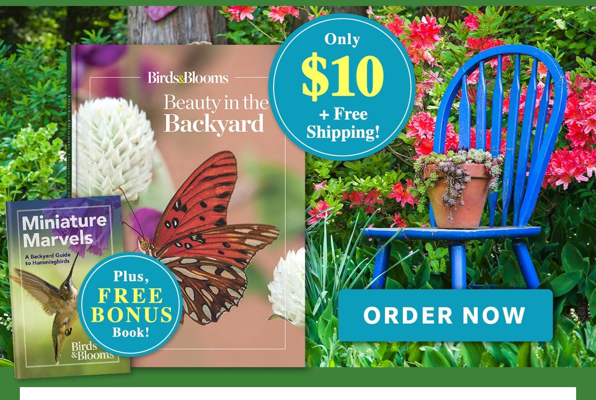 Beauty in the Backyard ORDER NOW