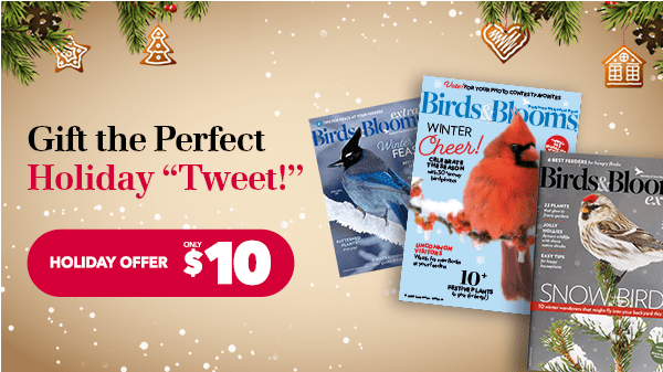 Birds & Blooms | Spread Holiday Cheer for Just $10 a Year!