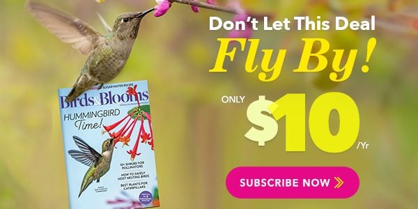 Don't :et This Deal FLy By | Only $10/yr | Subscribe Now 