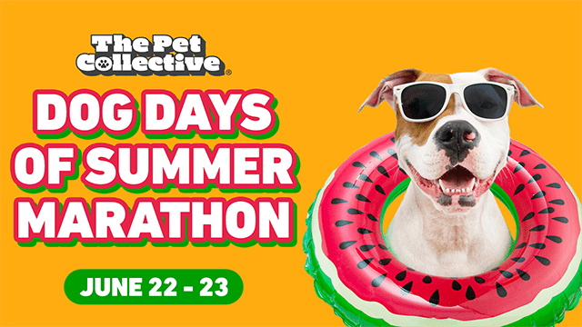 Dog Days of Summer Marathon | June 22-23