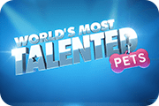 World Most Talented pets