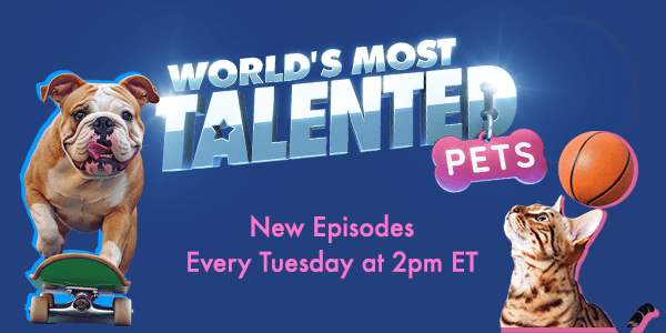 World's Most Talented Pets | Airing Tuesdays at 2PM ET