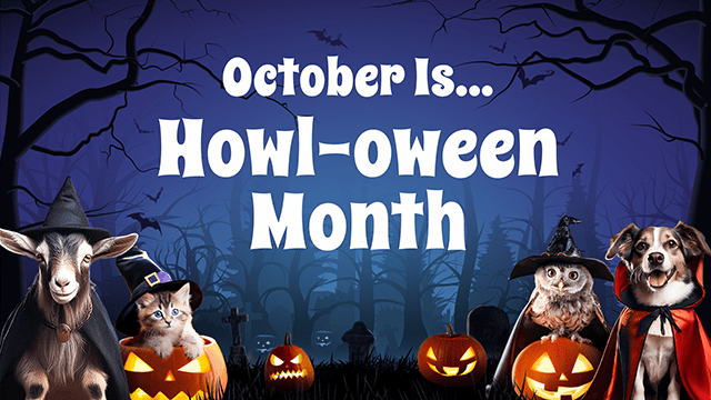 October is... Howl-Oween Month