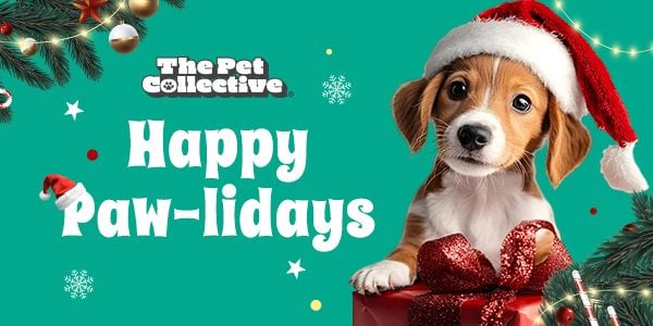 Join Us All December for Our... Happy Paw-lidays  Celebration!