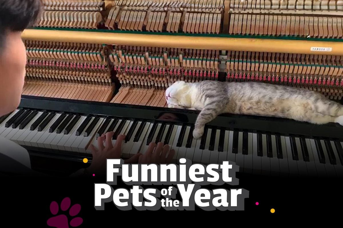 WATCH OUR BEST OF THE YEAR MARATHON!