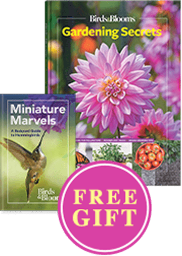 Birds & Blooms 2025 and Your FREE GIFT!
