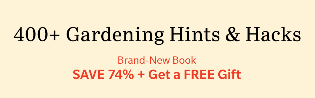 REALLY GOOD OFFER