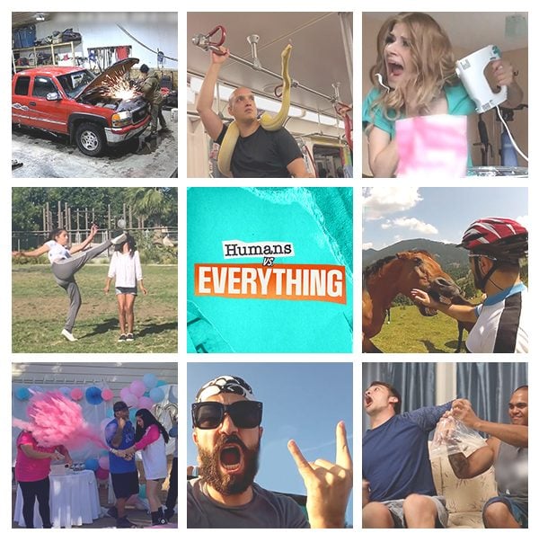 human vs everything