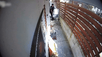 humans vs. everything is back...