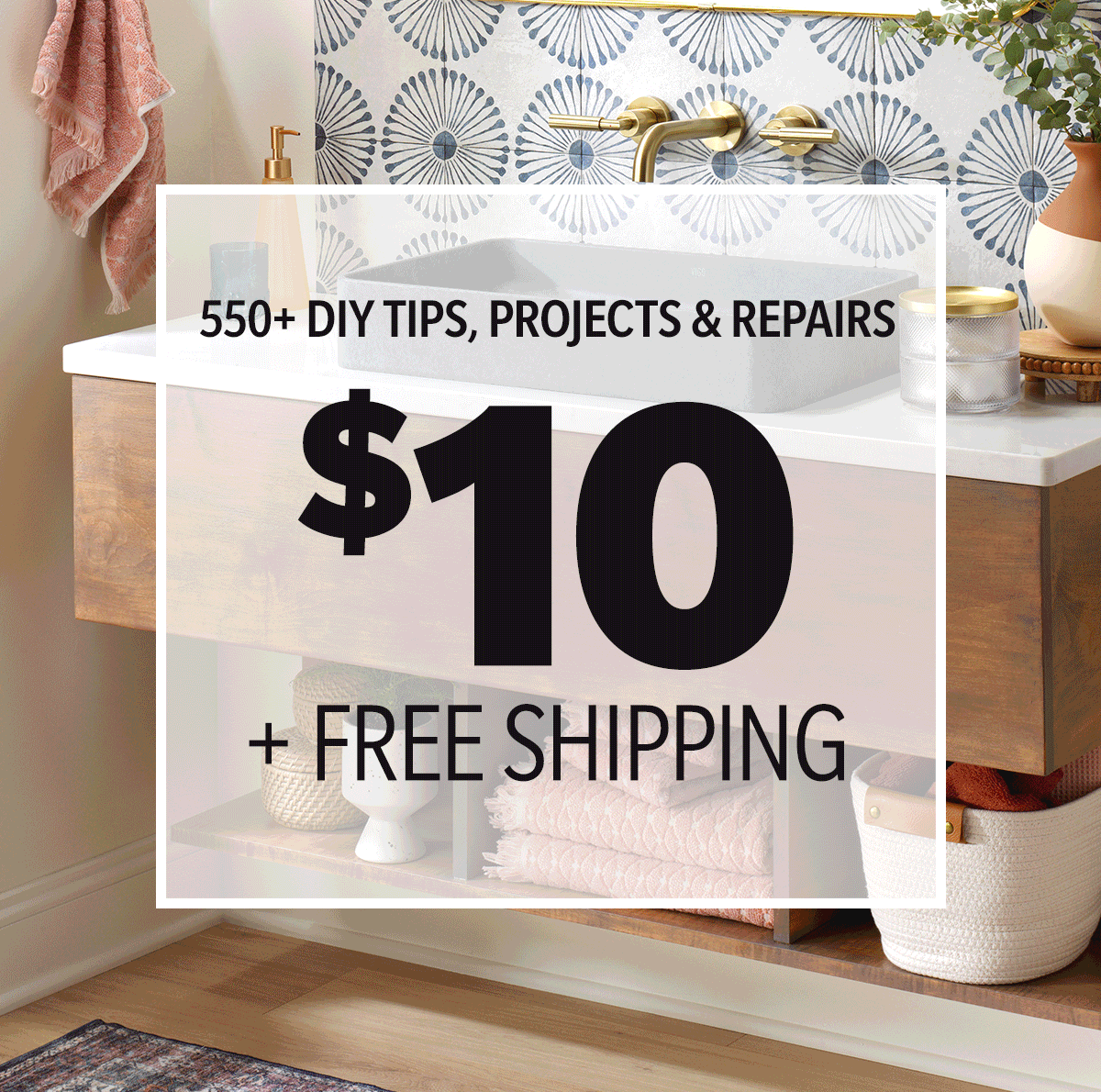 $10 + Free Shipping!
