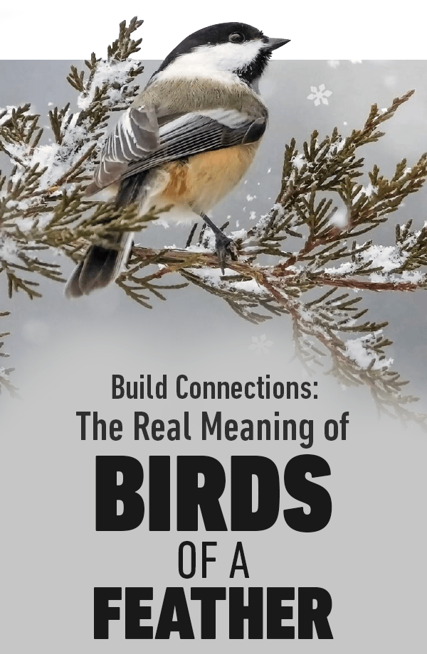 Build Connections: The Real Meaning of 
