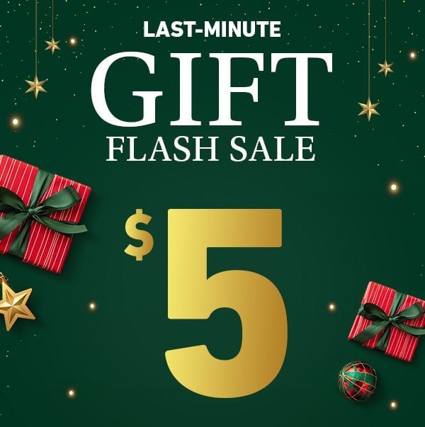 Last-Minutes Gift Flash Sale
