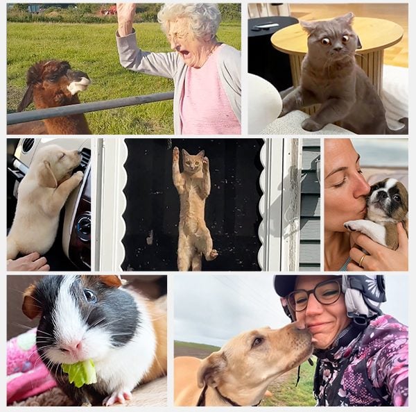 TPC Best of the Year 2025