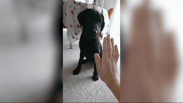 streaming now thru feb 17th!