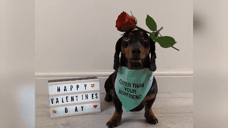 streaming now thru feb 17th!