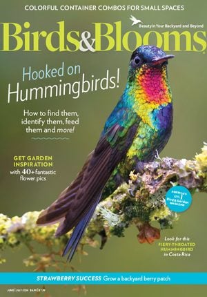 Birds & Blooms magazine