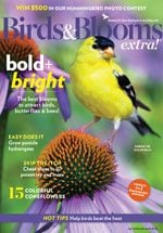 Birds & Blooms EXTRA Cover