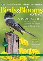 Birds & Blooms EXTRA Cover