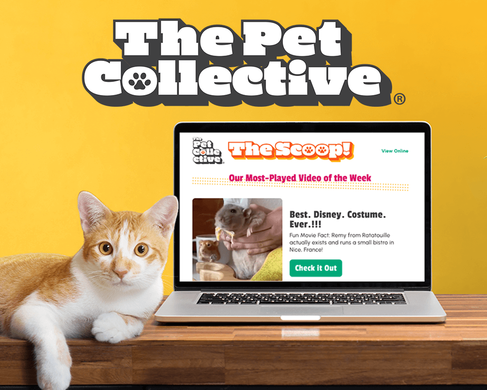 The Pet Collective