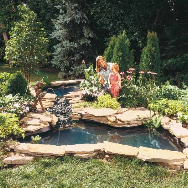 Small backyard water garden with lily pads and fish